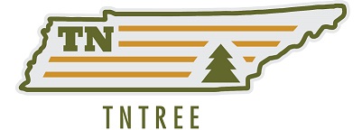 tntree logo-01.jpg